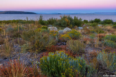 Mono Lake Sunset