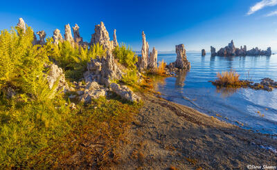 Mono Lake Tufas 2023