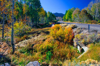 Mountain Colors