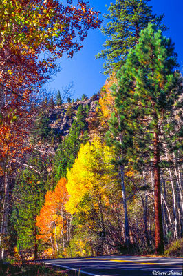 Mountain Road Colors