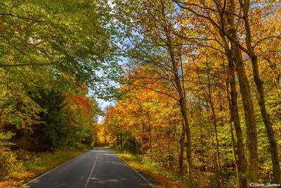 Mt. Greylock Road