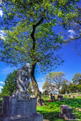 Napa Cemetery