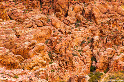 Nevada Red Rocks