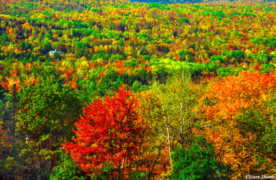 New Hampshire Fall Colors