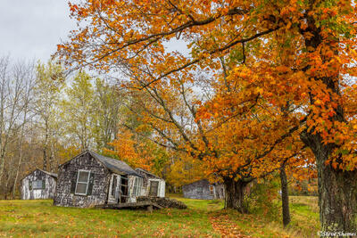 New Hampshire Old Shack