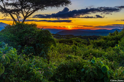 Ngorongoro-Bush Sunset