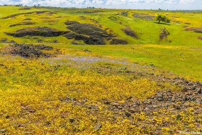 North Table Mountain Ecological Reserve