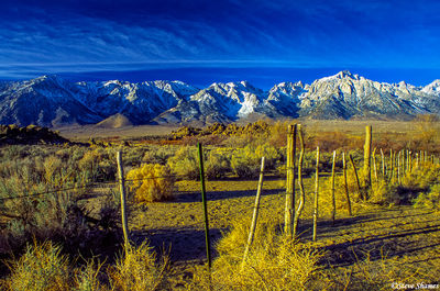 Owens Valley Fence
