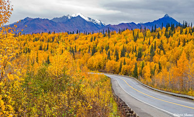 Parks Highway Alaska