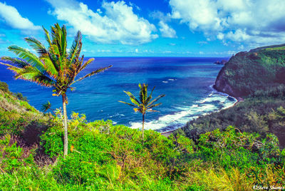 Pololu Valley