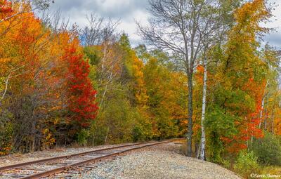 Railroad Tracks in Fall Foliage