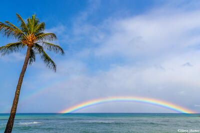 Rainbow Over Ocean