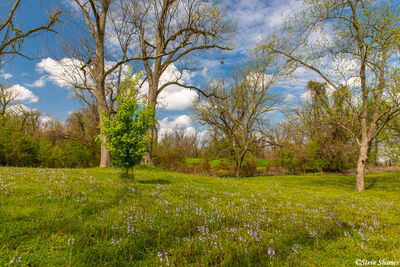 Red River National Wildlife Refuge