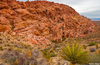 Red Rock Canyon