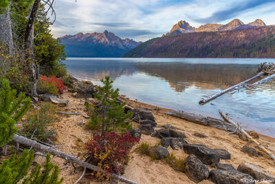 Redfish Lake Shore