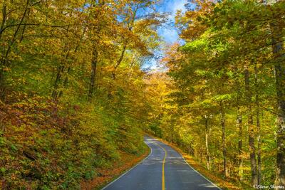 Road To Mt. Greylock