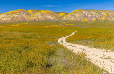 Road to Painted Hills