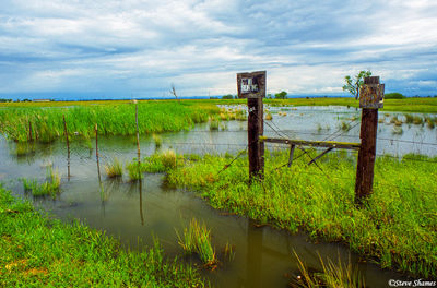 Sacramento County Flooded Field