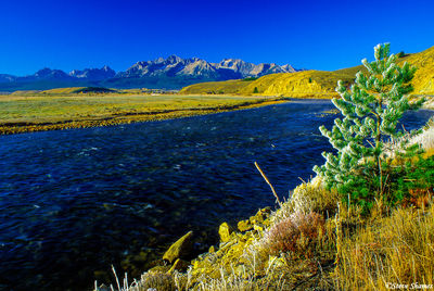 Salmon River