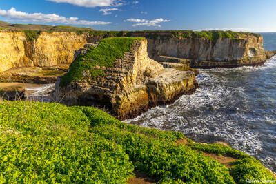 Shark Fin Cove