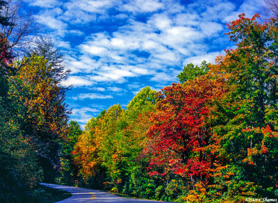Shenandoah Fall Colors