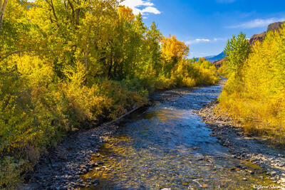 Shoshone River Fall Colors