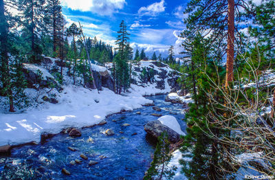Sierra Snowy River