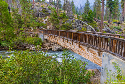 Sierra Walking Bridge