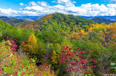 Smokey Mountains Color
