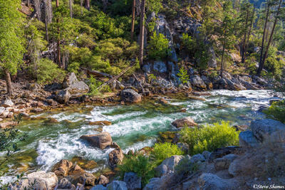 South Fork Kings River