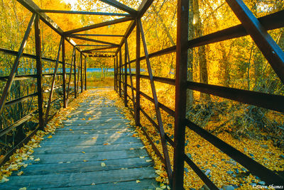 Sun Valley Idaho Bridge
