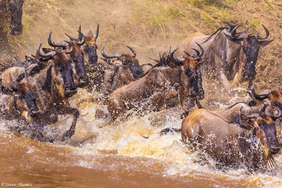 Tanzania-Splashing Into River