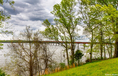 Tennessee River Bridge