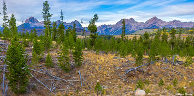 The Sawtooth Mountains