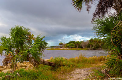 Tomaka State Park