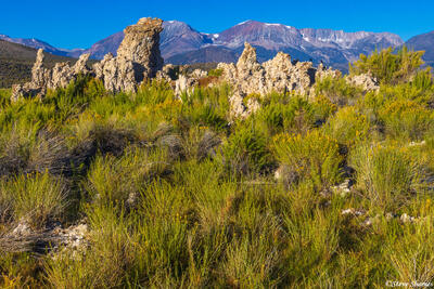 Tufas With Sierras