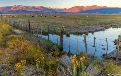 Twin Lakes Road Sunrise