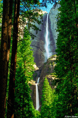 Waterfall Through Trees