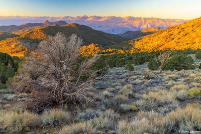 White Mountains Sunrise