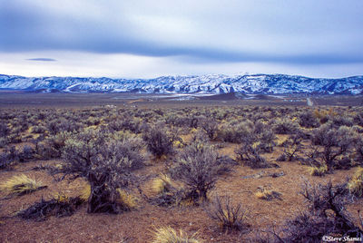 Wide Open Nevada