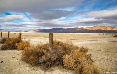 Winnemucca Dry Lake