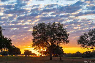 Zambia-African Sunset