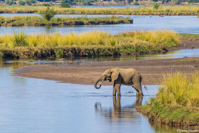 Zambia-Lower Zambezi Scene