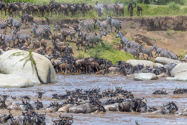 African-Great Migration print