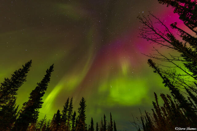 Alaska Aurora Borealis print