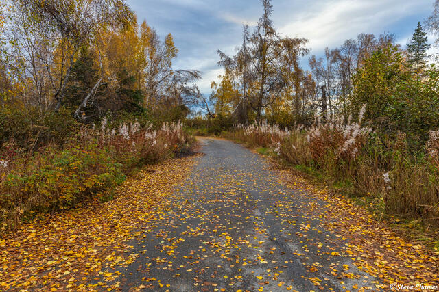 Alaska Fall Leaves print