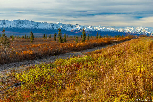 Alaska Mountain Range print