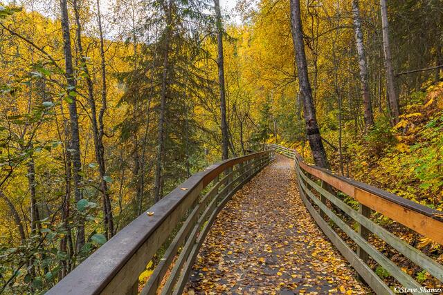 Alaska Walking Bridge print
