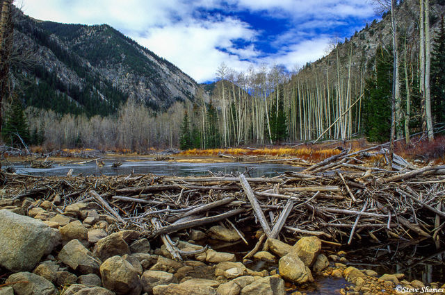Beaver Dam print