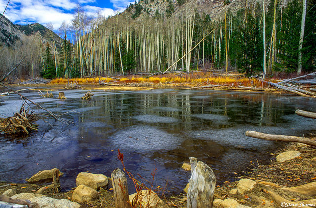 Beaver Pond print